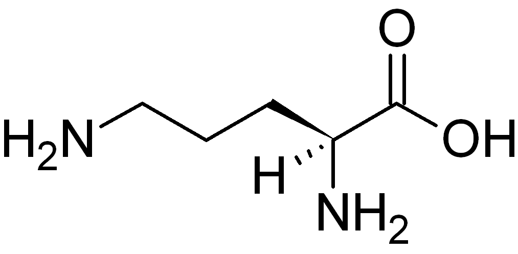 Le centre d’amincissement anti-âge Hélène Galé spécialisé dans la presso thérapie, drainage lymphatique et les jambes lourdes vous propose la cryolipolyse, la radiofréquence, la cavitation et le vacum pour mincir et maigrir par le froid pour les hommes comme pour les femmes à Tarbes 65000 et Pau.