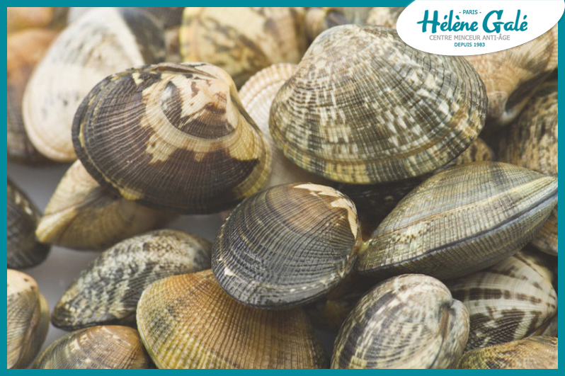 Les Mollusques Et Les Coquillages Helene Gale Tarbes