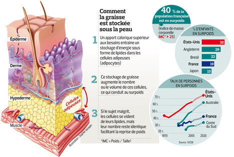 Le centre d’amincissement anti-âge Hélène Galé spécialisé dans la presso thérapie, drainage lymphatique et les jambes lourdes vous propose la cryolipolyse pour mincir et maigrir par le froid pour les hommes comme pour les femmes à Tarbes 65000 et Pau.